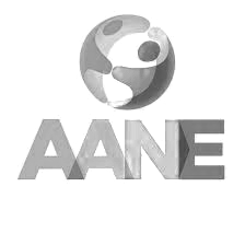 The Asperger / Autism Network (AANE)